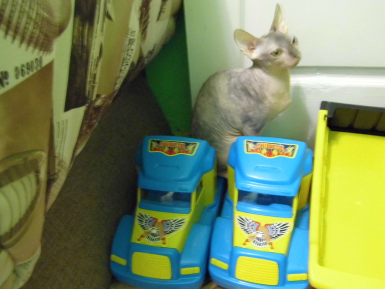 мы все делаем вместе))))