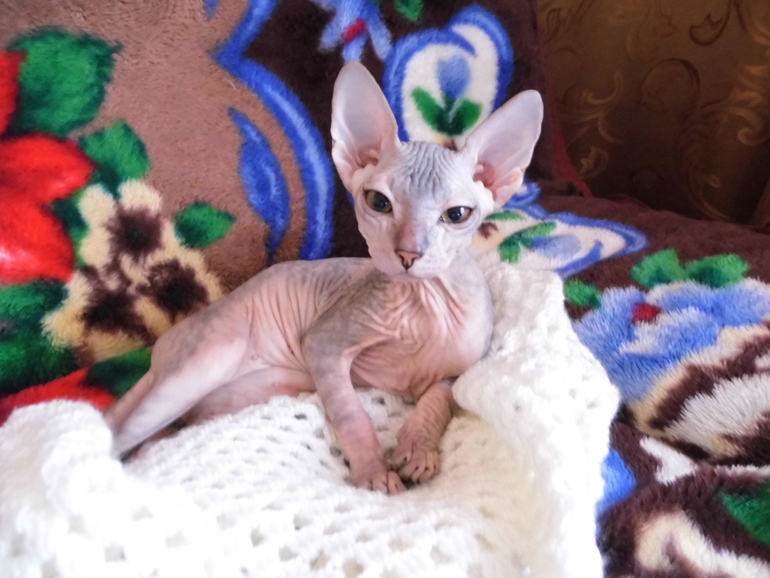 нашей девочке 6 мес))))