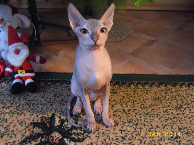 нашей девочке 6 мес))))