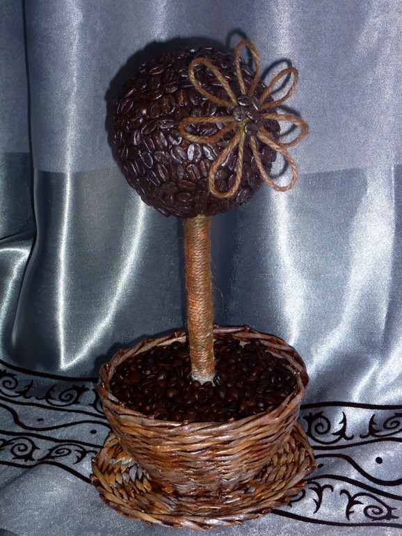 Аромотерапия! Кофейное деревце..первое, надеюсь не последнее!