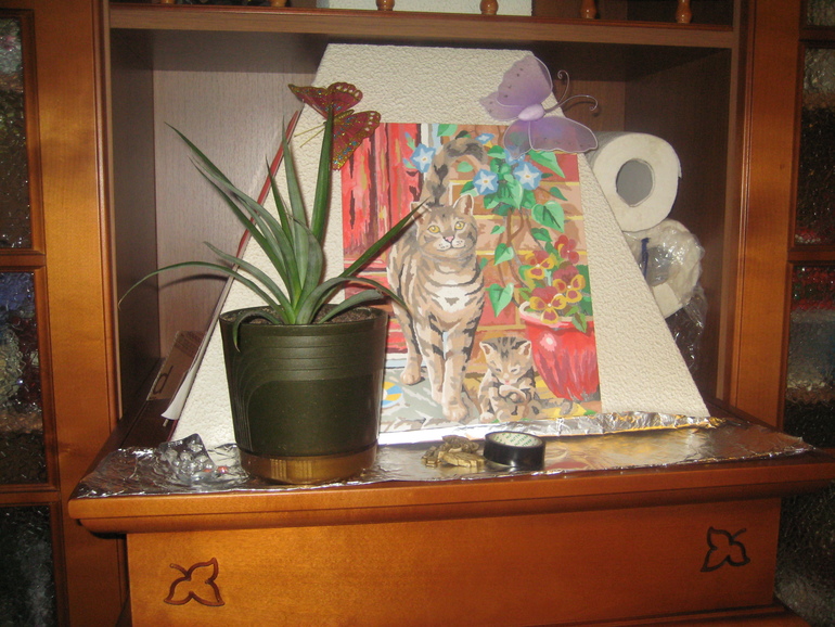 Взлет 73, день 6