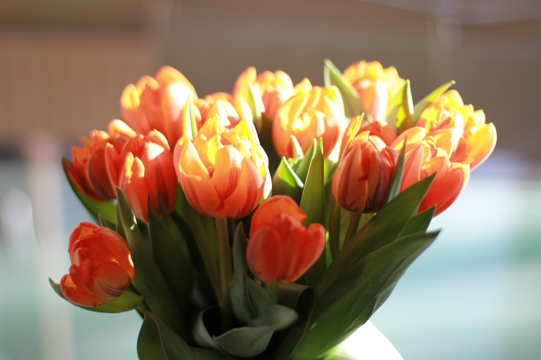 Муж радует. Я хвастаюсь:-)