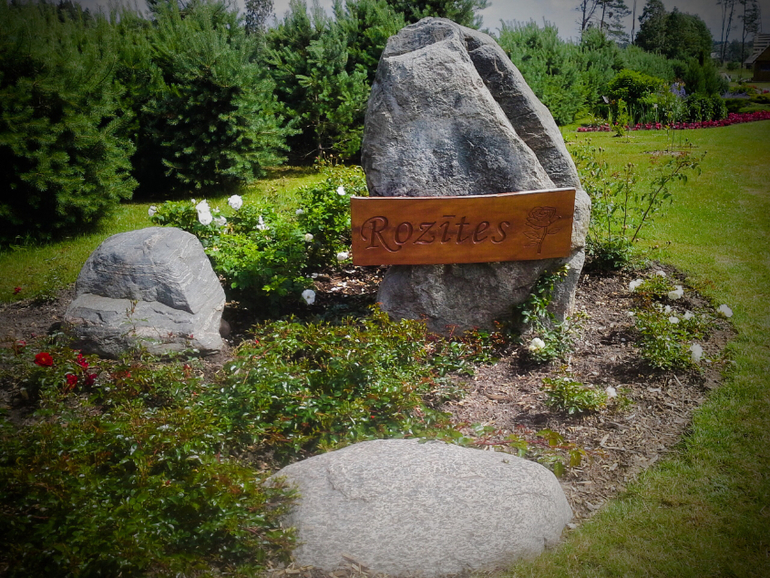 Мои розочки;-) и 32-я пошла:-)