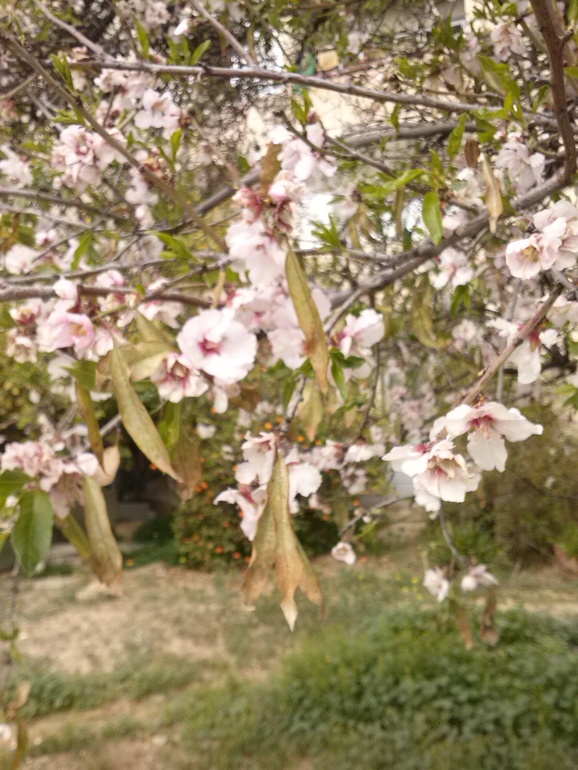 Весна,карнавал и просто позитив.