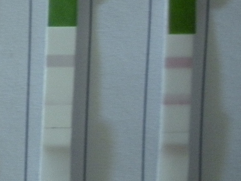 моя Овулька.