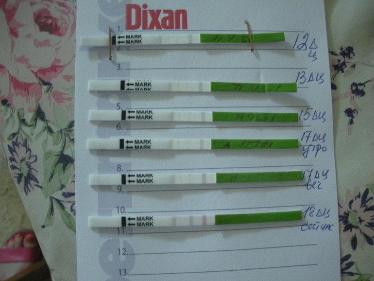 моя Овулька.