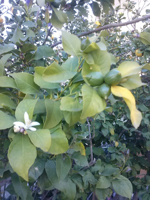 Весна,карнавал и просто позитив.