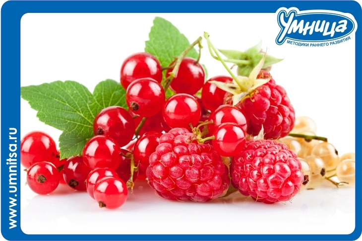 Фрукты и ягоды