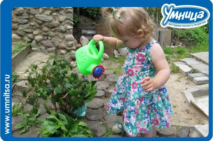 Зелёный цвет