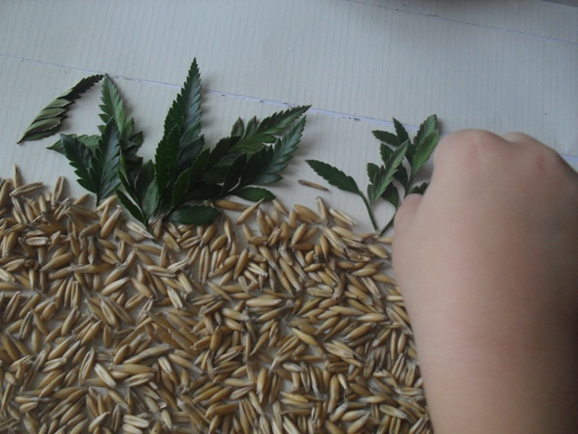 Делаем аппликацию с крупами вместе с малышом!