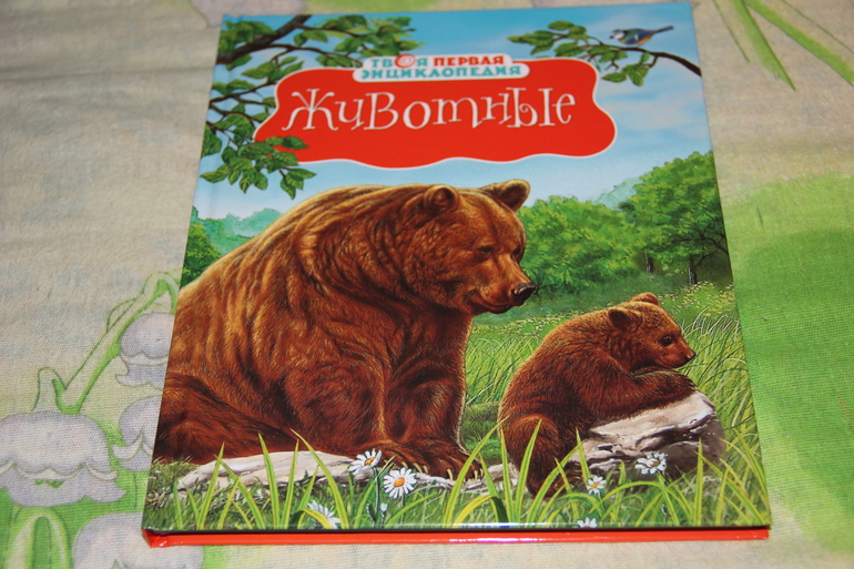 Тн "Лесные животные".