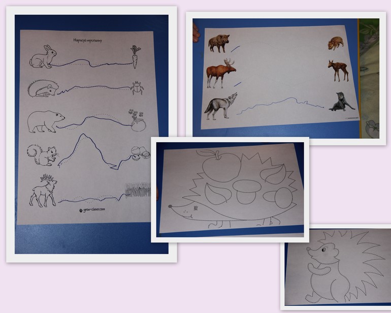 Тн "Лесные животные".