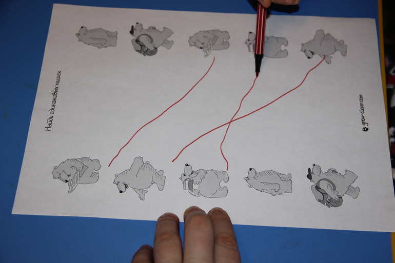 Тн "Лесные животные".