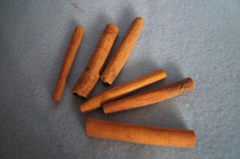 Мой хомяк делится !!!