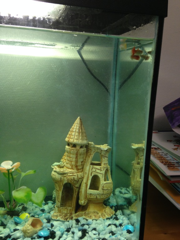 Семерых унесло течением....