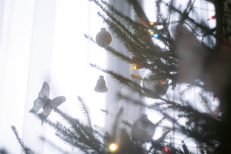 Рождственский пост