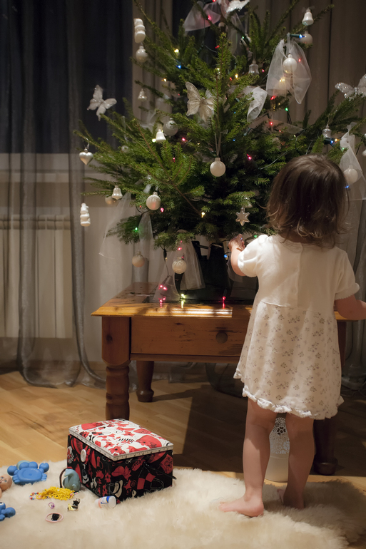 Рождственский пост