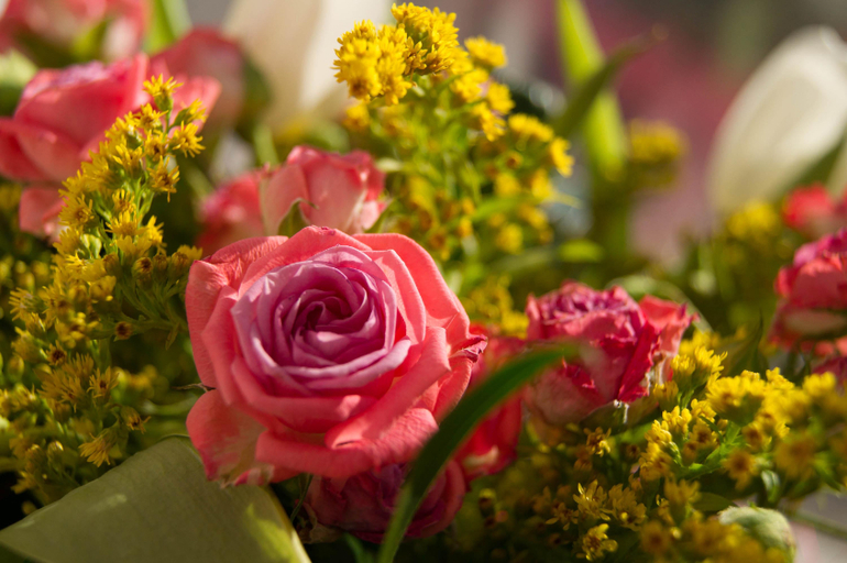 Контрольное задание № 30. Создаем ЛОМО снимок