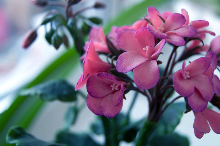 Контрольное задание № 6. Три способа цветокоррекций фотографий