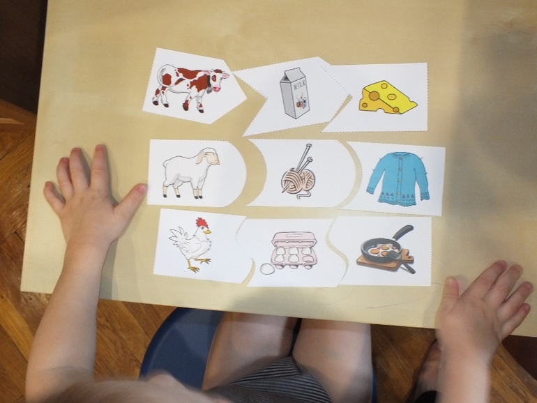 ТН Домашние животные.