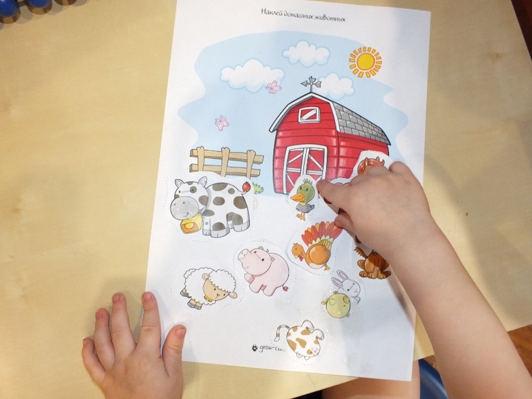 ТН Домашние животные.