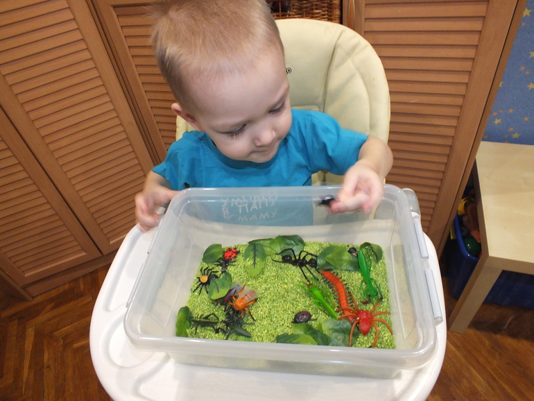 ТЗ "Муха-цокотуха"