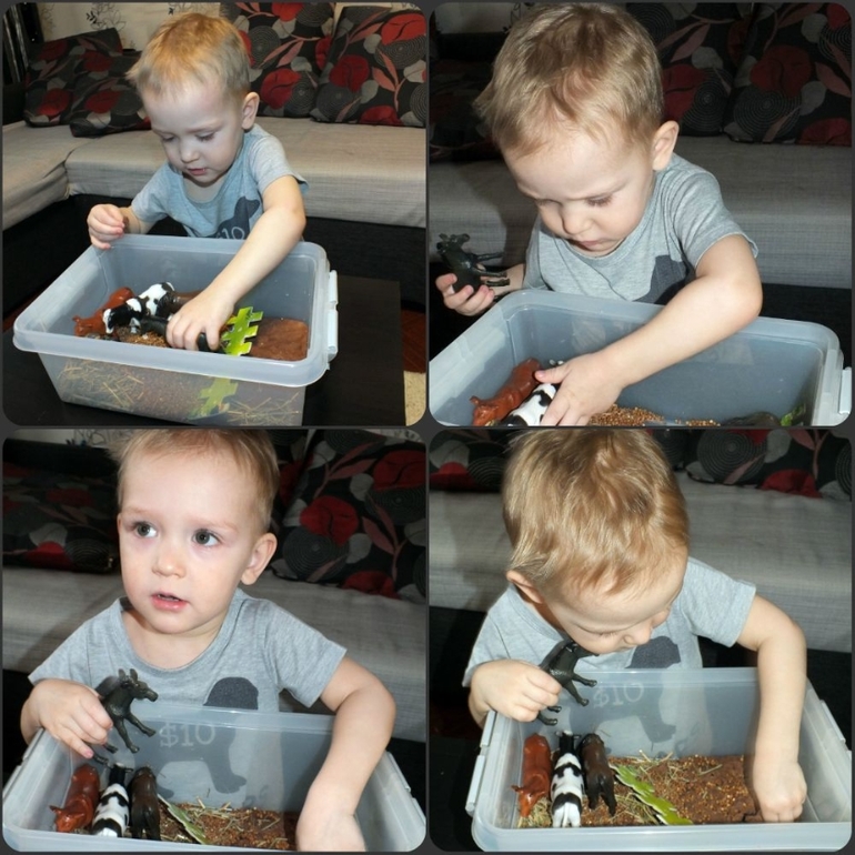 ТН Домашние животные.