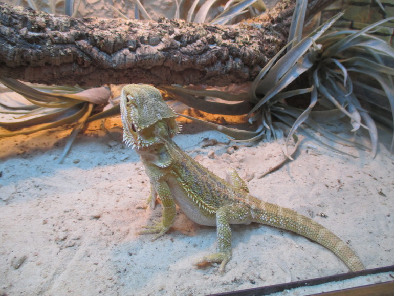 Интересно!! Избариум в Красногорске