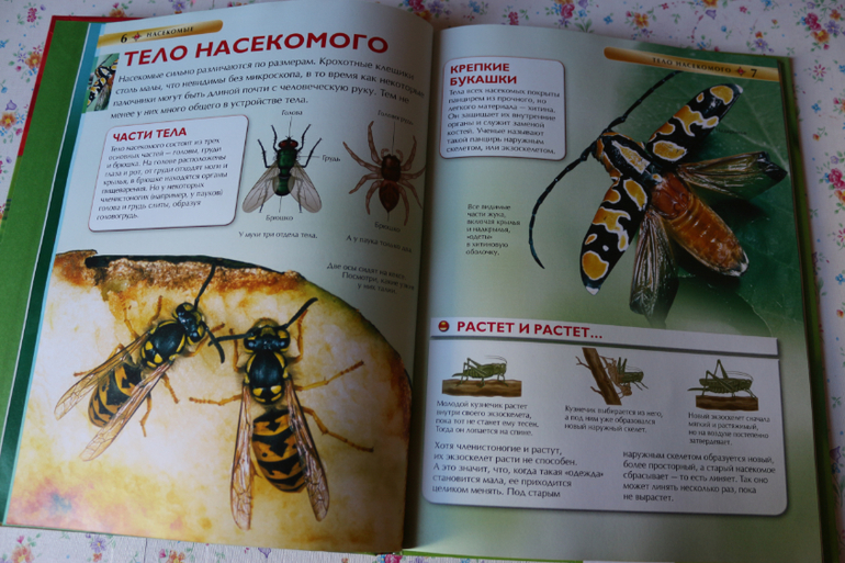 Пополнение детской домашней библиотеки.