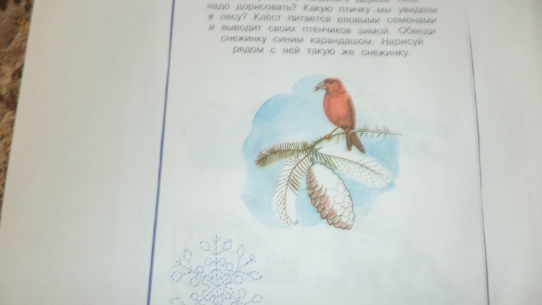 Наш зимний альбом.