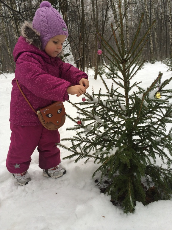 Рождественский пир лесных зверят