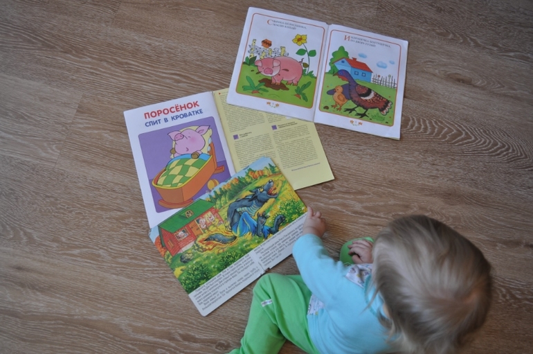 ТН "Скотный двор" День 5. Свинья