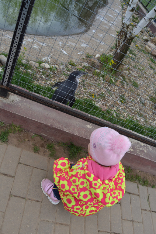 Парк птиц