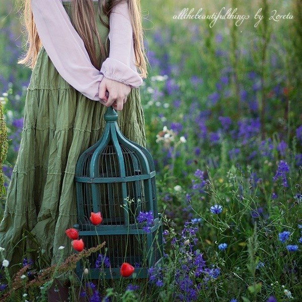 О предчувствии