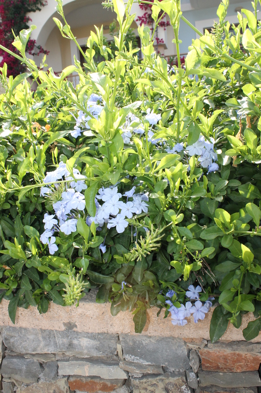 Наш отдых: май, Греция, о. Родос (много фото)