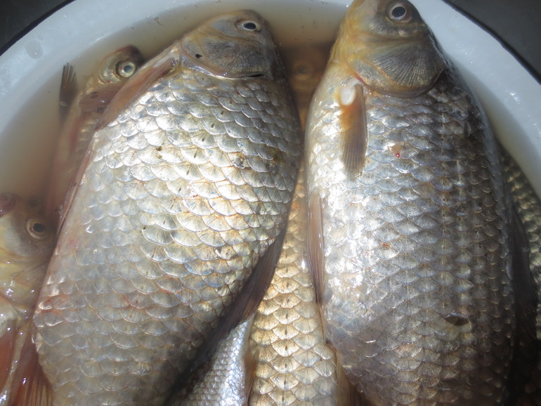 Пост обо всём)