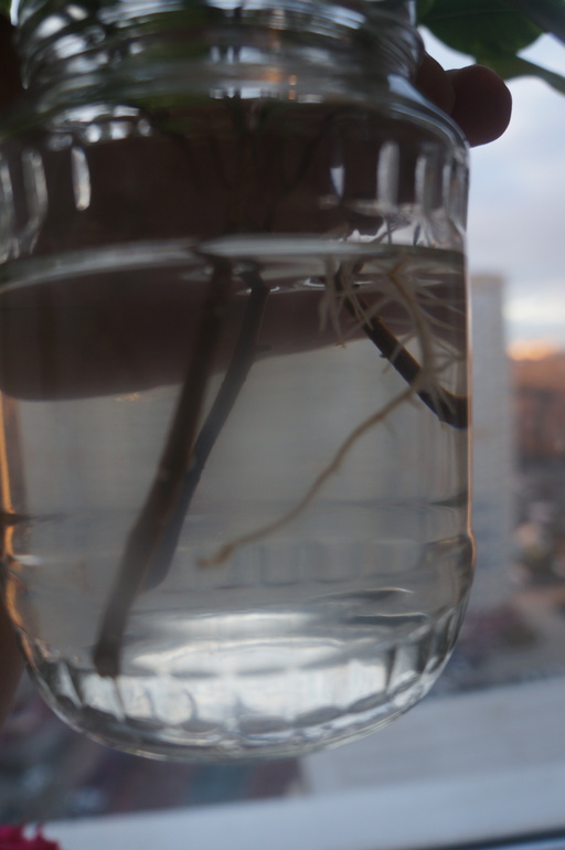 Всем привет!