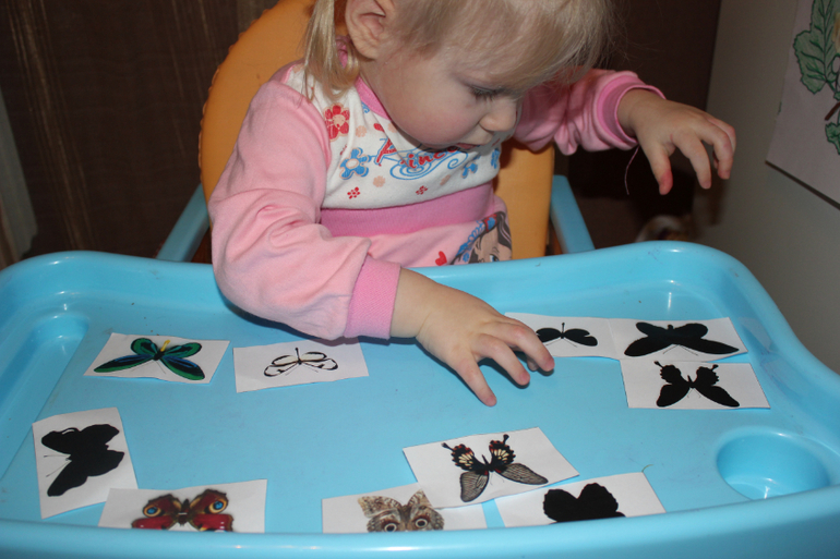 ТД "Бабочка"