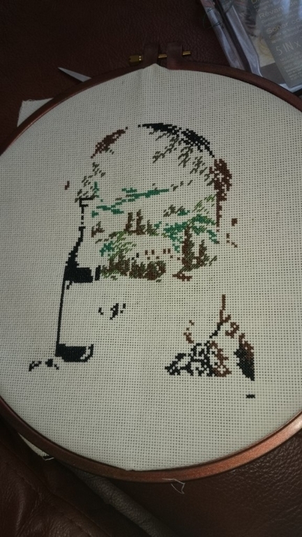 Мои процуссы