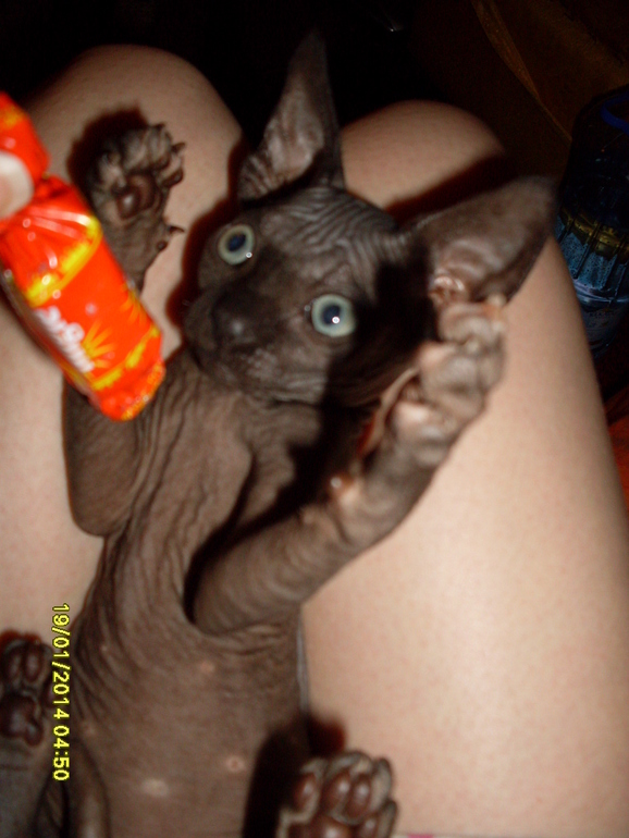 Давняя мечта - удвоилась!!!