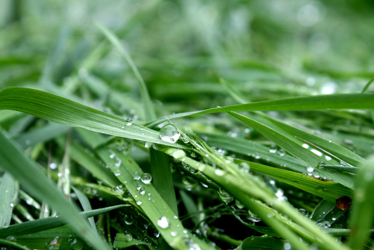 После Дождя