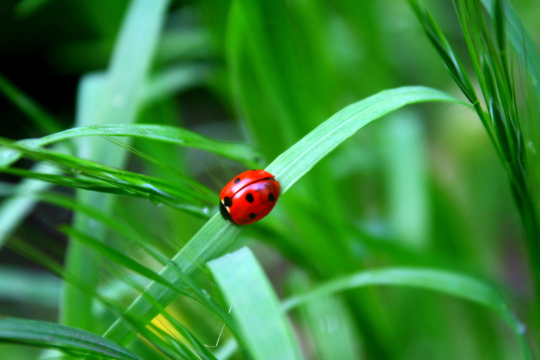 После Дождя