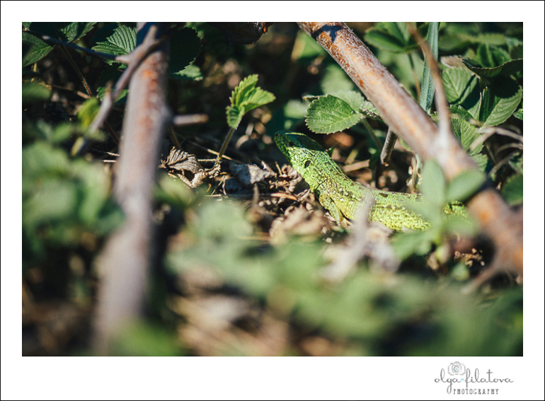 Настя - Том Сойер или хорошо в саду весной ) Часть 2.