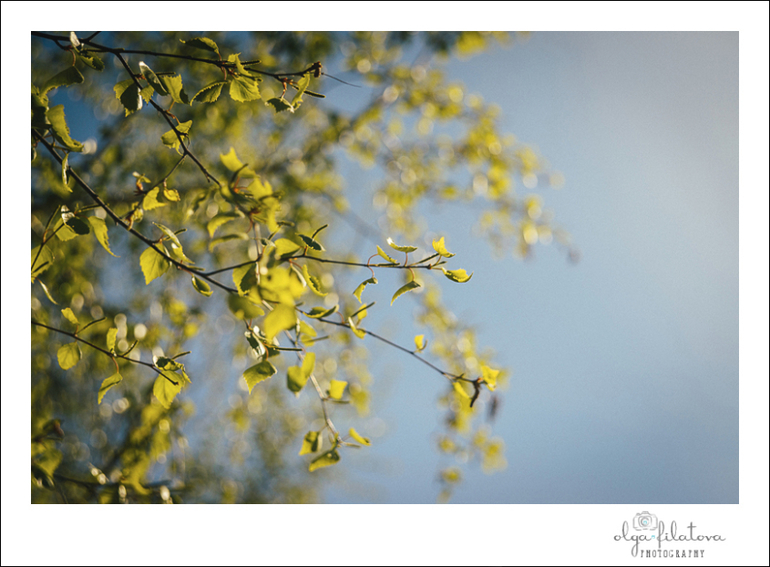 Настя - Том Сойер или хорошо в саду весной ) Часть 2.