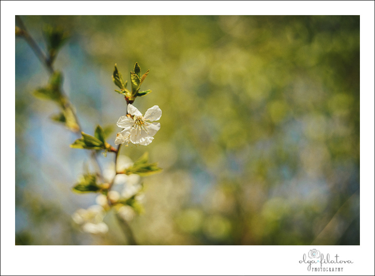 Настя - Том Сойер или хорошо в саду весной ) Часть 1.