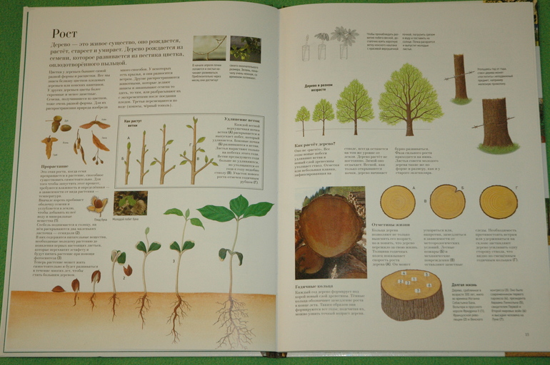 Наше книжное пополнение (Февраль 2014)