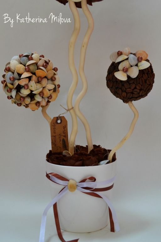 Сoffee from the sea