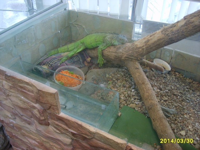 Кукольный театр 30.03.2014г.