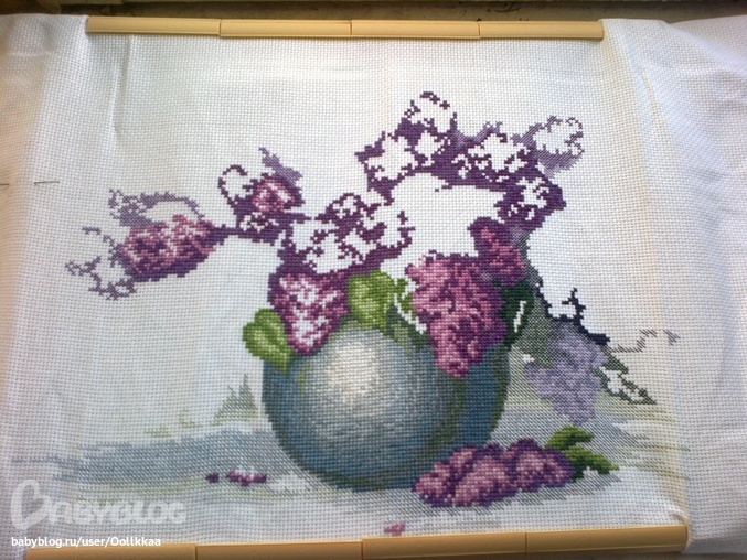 Сирень отчет №5 спустя год)