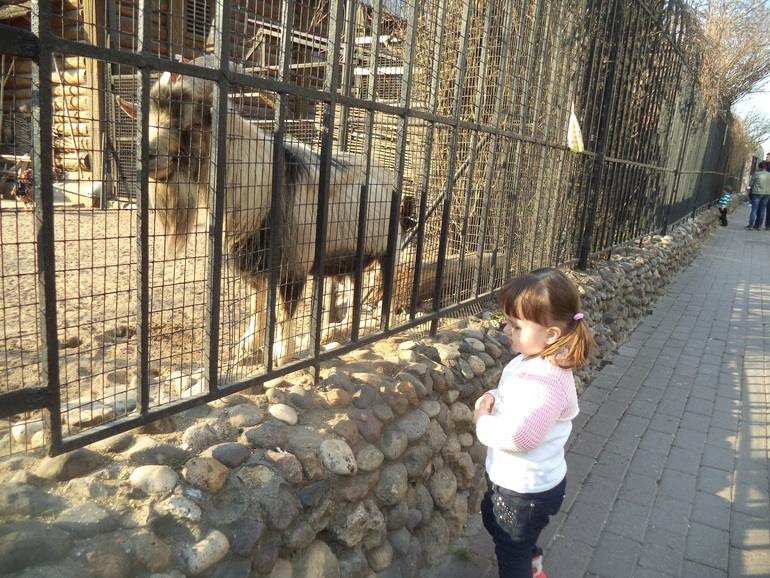 Элине 2 года.